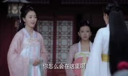 枫丹爆料视频大全最新消息,最新情报汇总解析